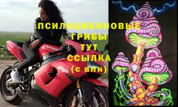 стаф Богородск