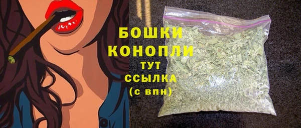 стаф Богородск