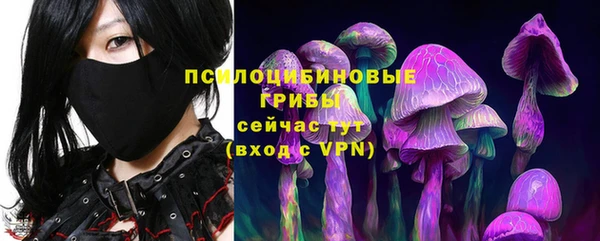 apvp Богородицк