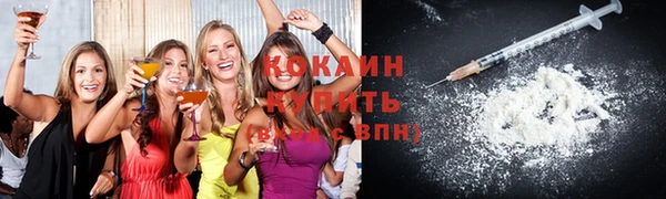 стаф Богородск