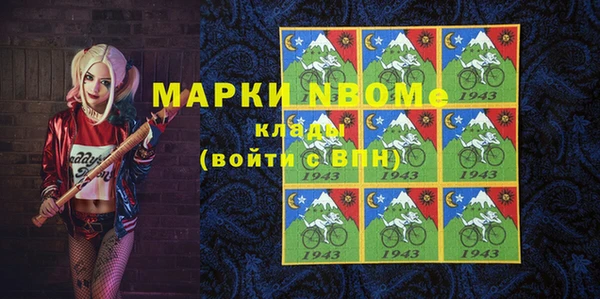 apvp Богородицк