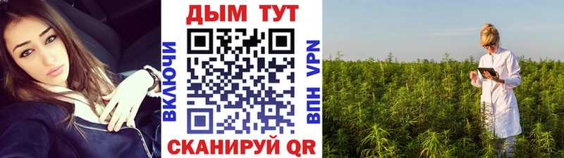 цены   Надым  Канабис THC 21% 